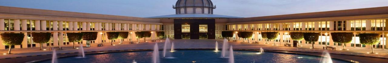 Sorbonne University - Abu Dhabi