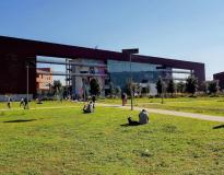 University of Toulouse-Jean Jaures Others(2) University of Toulouse-Jean Jaures Others(2)