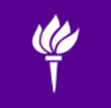 New York University - Abu Dhabi Logo