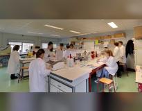 Supbiotech Others(2)