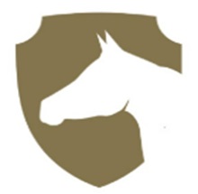 Rabdan Academy Logo