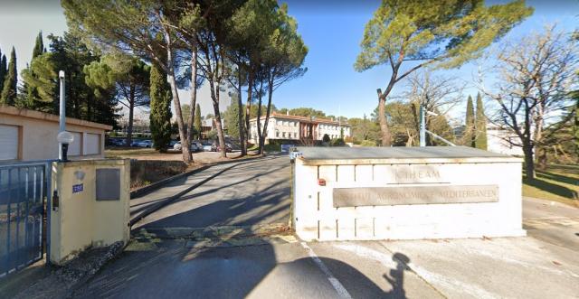 CIHEAM Montpellier