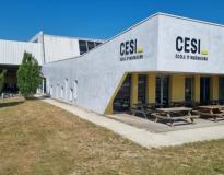 CESI Others(1) CESI Others(1)