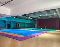 BML Munjal University Indoor Sports Block
