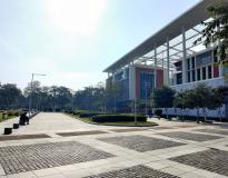 BML Munjal University Campus View(3)