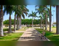 IES College of Technology Bhopal Campus View(5)