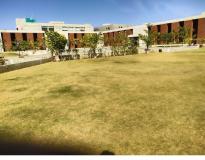 PP Savani University Campus View(3)