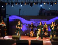 Biyani Girls College Fest(7)