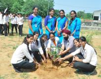 Biyani Institute of Physical Education Others(3)