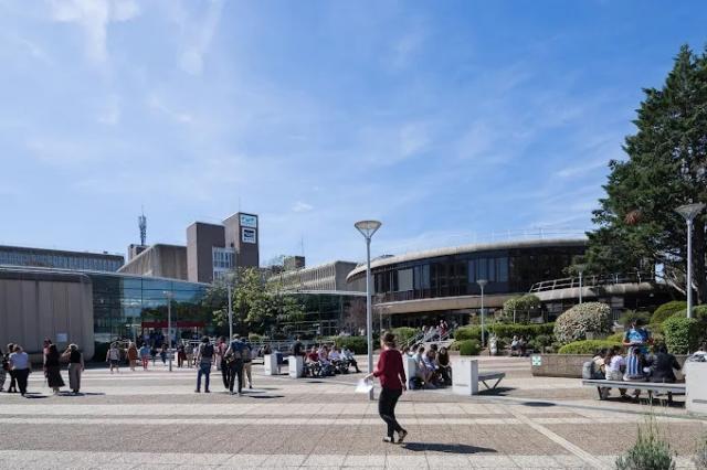 Institute Mines-Telecom Business school