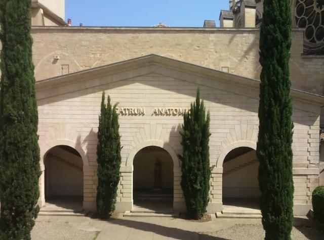 University of Montpellier