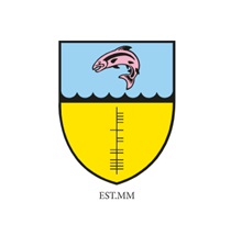 Hibernia College Logo