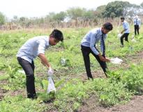 Madhyanchal Professional University Others(13)