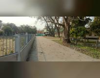 Silapathar College Campus View