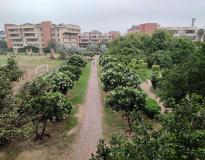 Galgotias College of Engineering and Technology Campus View(3)