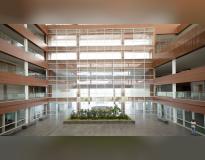 Amity University, Hyderabad Others(1)