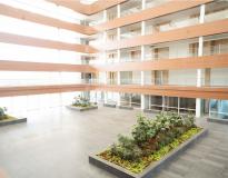 Amity University, Hyderabad Others(4)