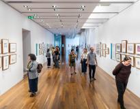Adelaide University Others(2)