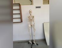 Shree Swaminarayan Institute of Pharmacy Labs(1) Shree Swaminarayan Institute of Pharmacy Labs(1)