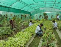 Lovely Professional University Others(6)