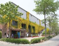 Lovely Professional University Others(7)