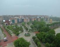 Lovely Professional University Campus View(6)