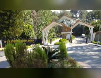 NIT Hamirpur Campus View(2)
