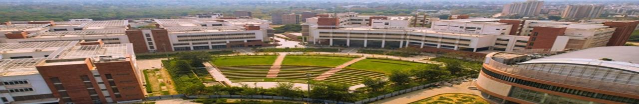 South Asian University