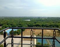GGSIPU Campus View(3)