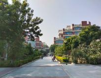 GGSIPU Campus View(4)