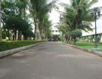 MITAOE Campus View(5)