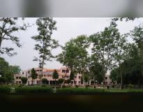SLIET Campus View(2)