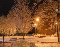 Clarkson University Others(9)