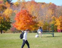 Clarkson University Others(14)