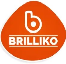 Brilliko Institute of Multimedia Logo
