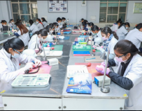 SGT University Online Others(3)