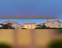 Advanced Institute of Technology and Management Others