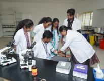 Indian Institute of Ayurvedic Medicine and Research Labs(5)