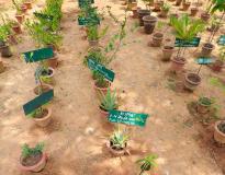 Indian Institute of Ayurvedic Medicine and Research Campus View(2)