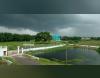 Government General Degree College, Singur Campus View