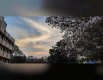 BIT Bangalore Campus View(2)