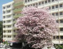 BIT Bangalore Campus Building(7)