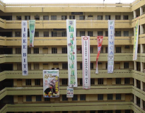BIT Bangalore Campus Building(8)