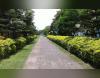 Raiganj Polytechnic College Campus View(3) Raiganj Polytechnic College Campus View(3)