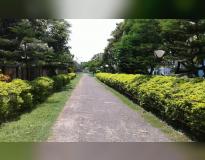 Raiganj Polytechnic College Campus View(3)