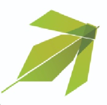 CIASL Academy Logo