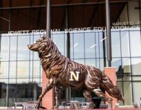 NSU Others(1)