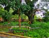 Kerala Government Polytechnic College Campus View(4)