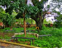 Kerala Government Polytechnic College Campus View(4)