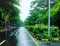 BVCOE Navi Mumbai Campus View(4)